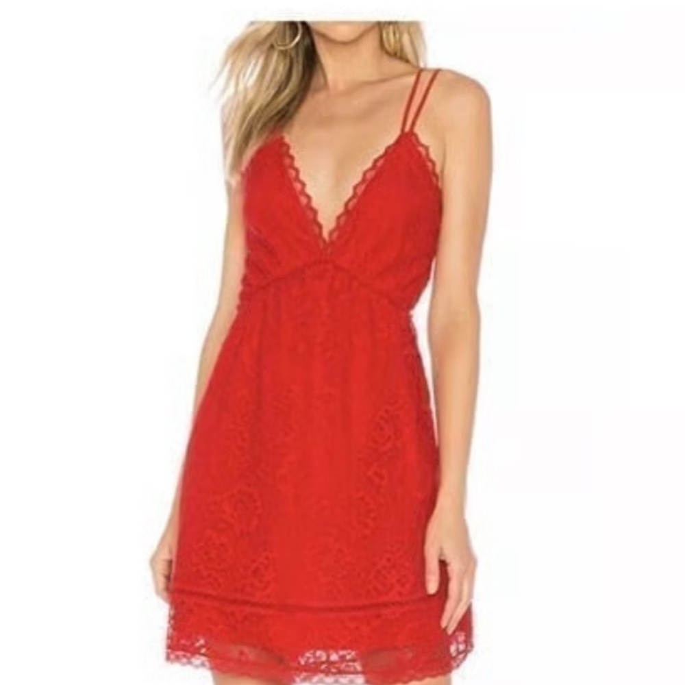Lovers + Friends Scarlet Lace Mini Dress
